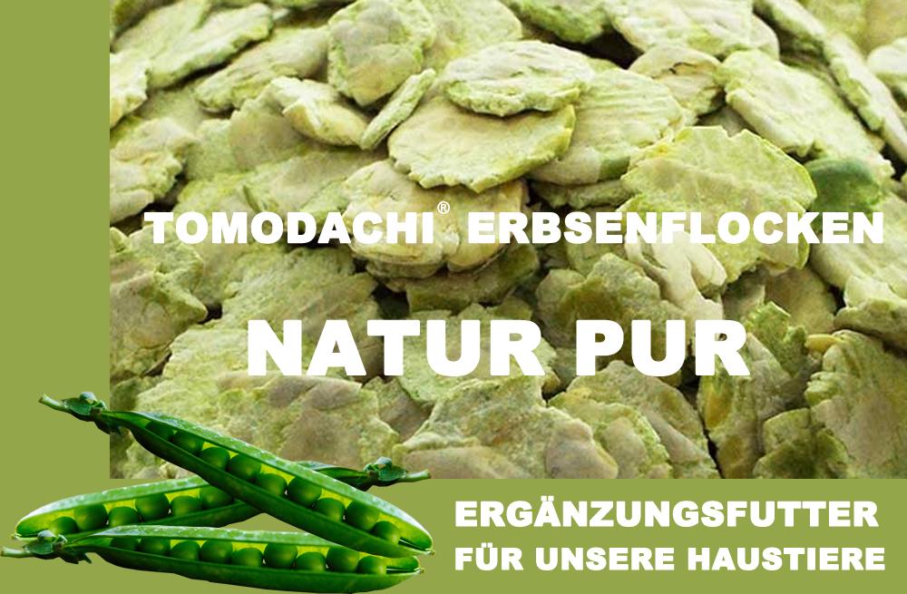 Tomodachi® Erbsenflocken sind ein reines Naturprodukt, ohne  chemische Zusätze, reich an Protein und Spurenelementen, gut für das  Immunsystem, den Stoffwechsel und die Verdauung bei Nagetieren und  optimal für Kleintiere -reine naturbelassene Erbsenflocken, gesundes  Gemüse!