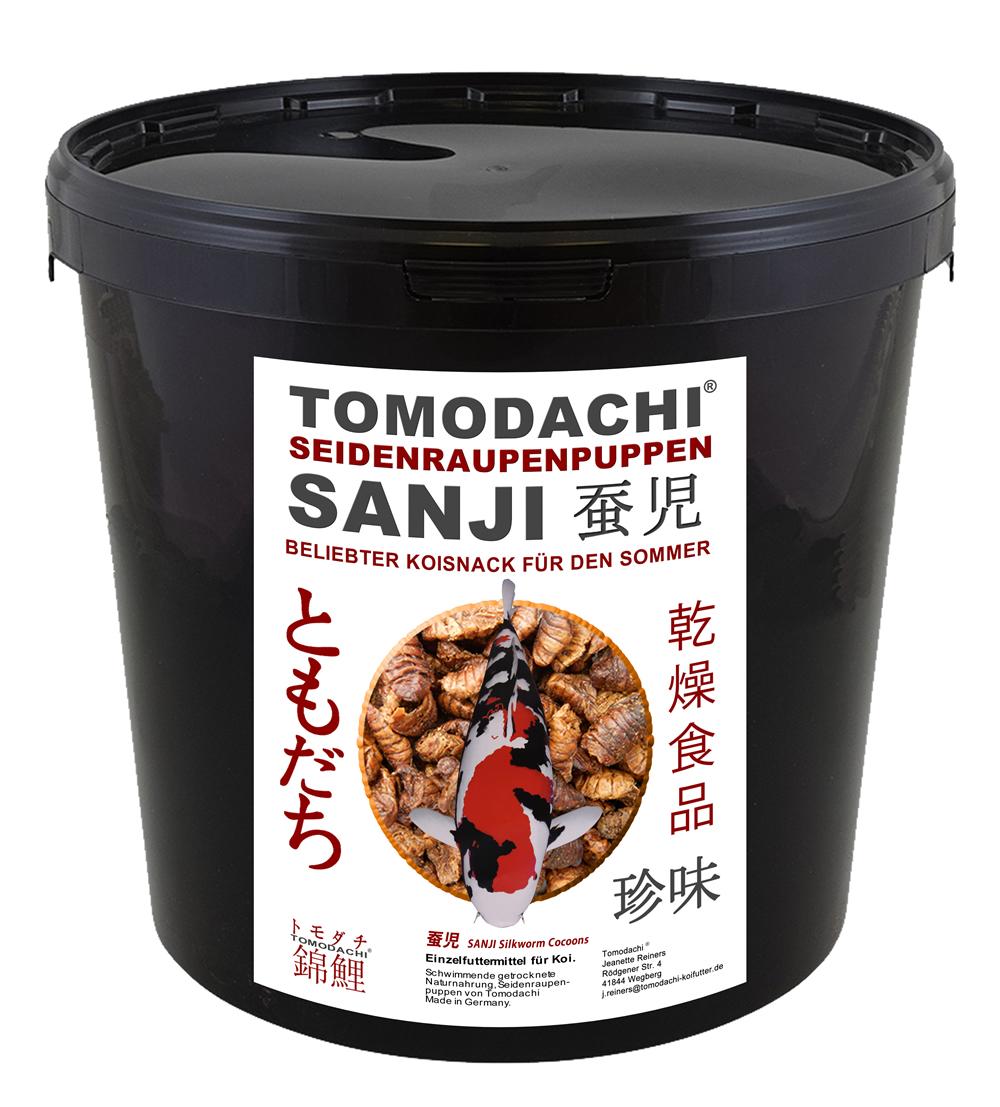 Tomodachi SANJI - Seidenraupenpuppen sind im Sommer besonders beliebt bei jungen und erwachsenen Koi