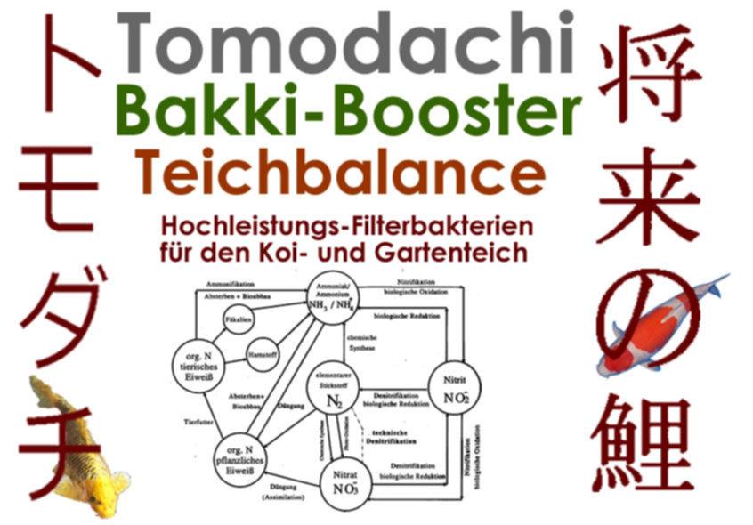 Hochleistungs-Filterbakterien von Tomodachi für gesundes Wasser im Koiteich